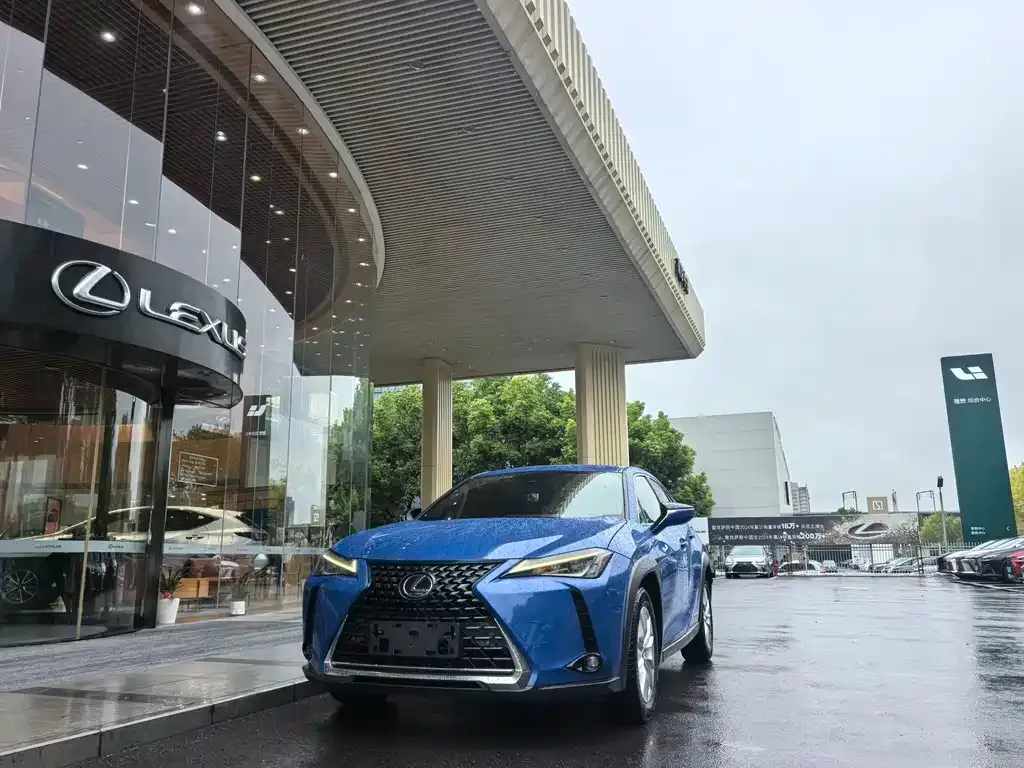 Lexus UX 2021 из CN, фото 1
