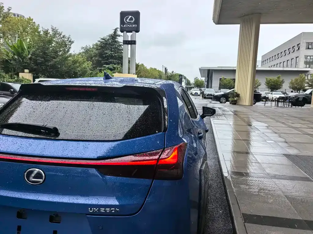 Lexus UX 2021 из CN, фото 10