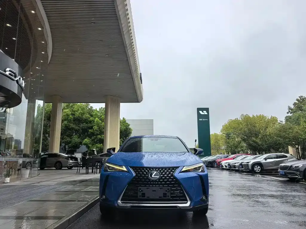Lexus UX 2021 из CN, фото 2