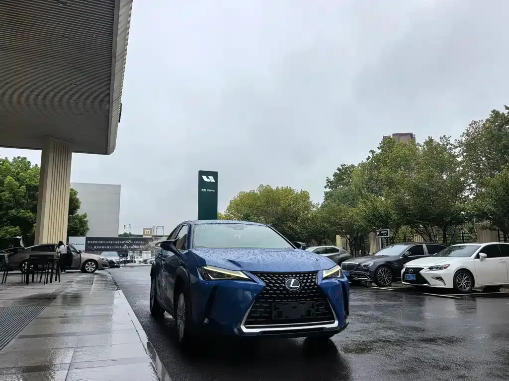 Lexus UX 2021 из CN, фото 3