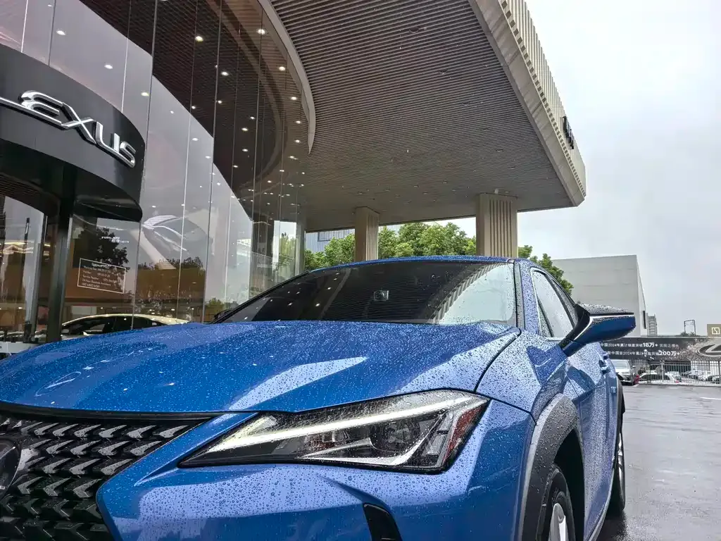 Lexus UX 2021 из CN, фото 4