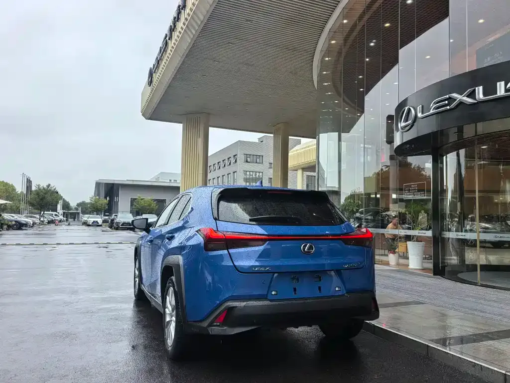 Lexus UX 2021 из CN, фото 7
