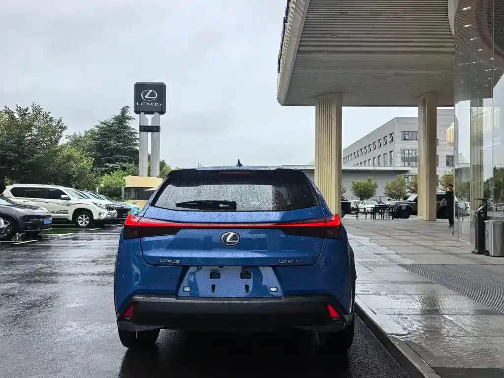 Lexus UX 2021 из CN, фото 8
