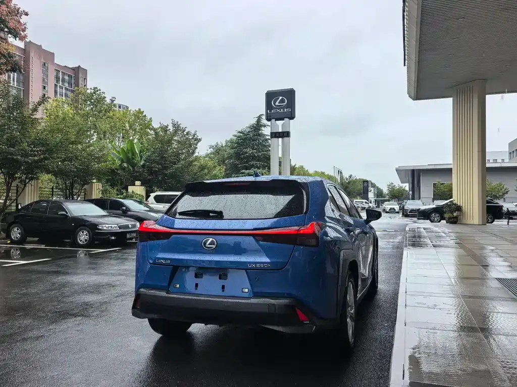 Lexus UX 2021 из CN, фото 9