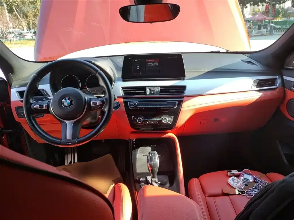 BMW X2 2021 из CN, фото 10