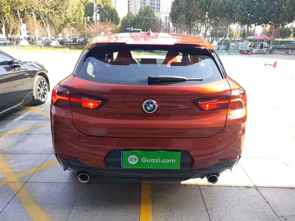 BMW X2 2021 из CN, фото 6