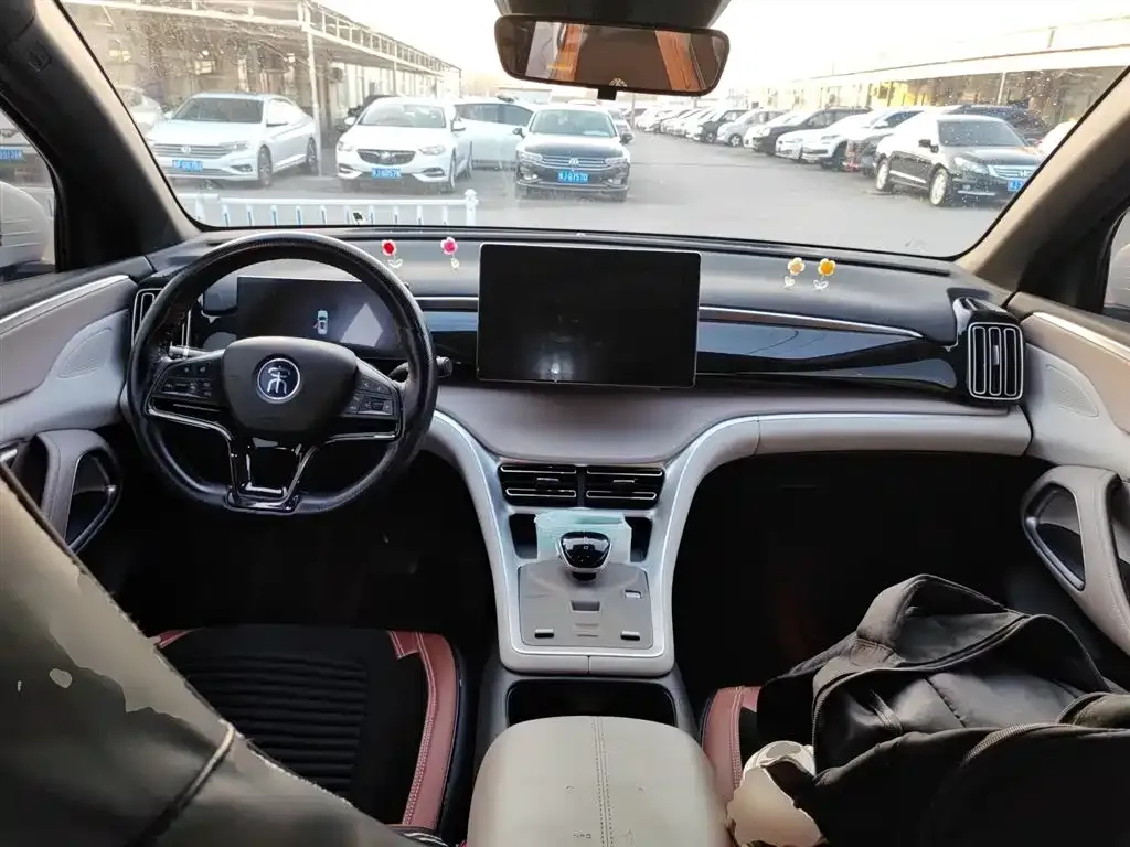 BYD Pro New Energy — фото 10