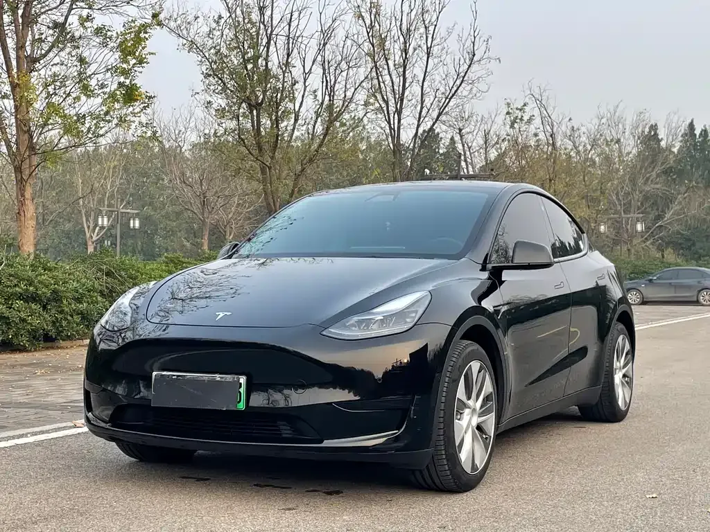 Tesla Model Y 2023 из CN, фото 1