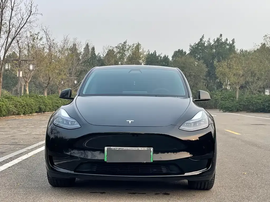 Tesla Model Y 2023 из CN, фото 2