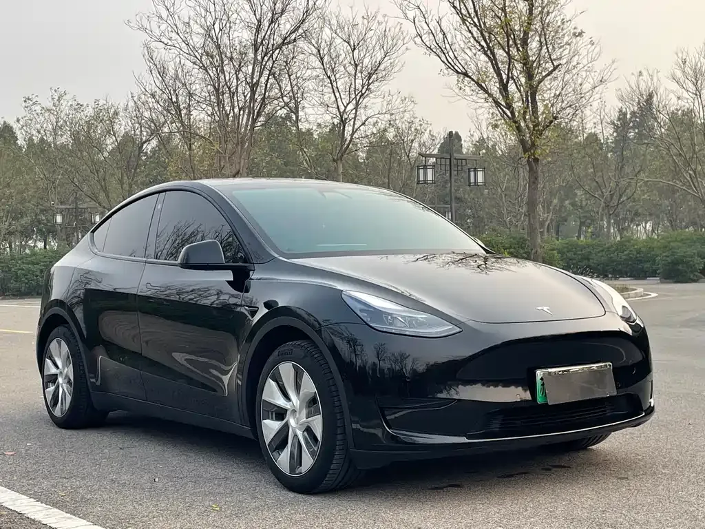 Tesla Model Y 2023 из CN, фото 3