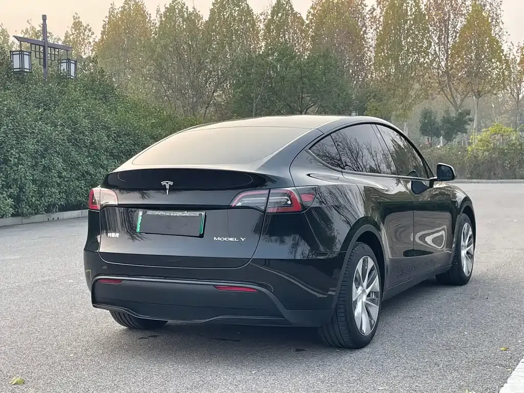 Tesla Model Y 2023 из CN, фото 4