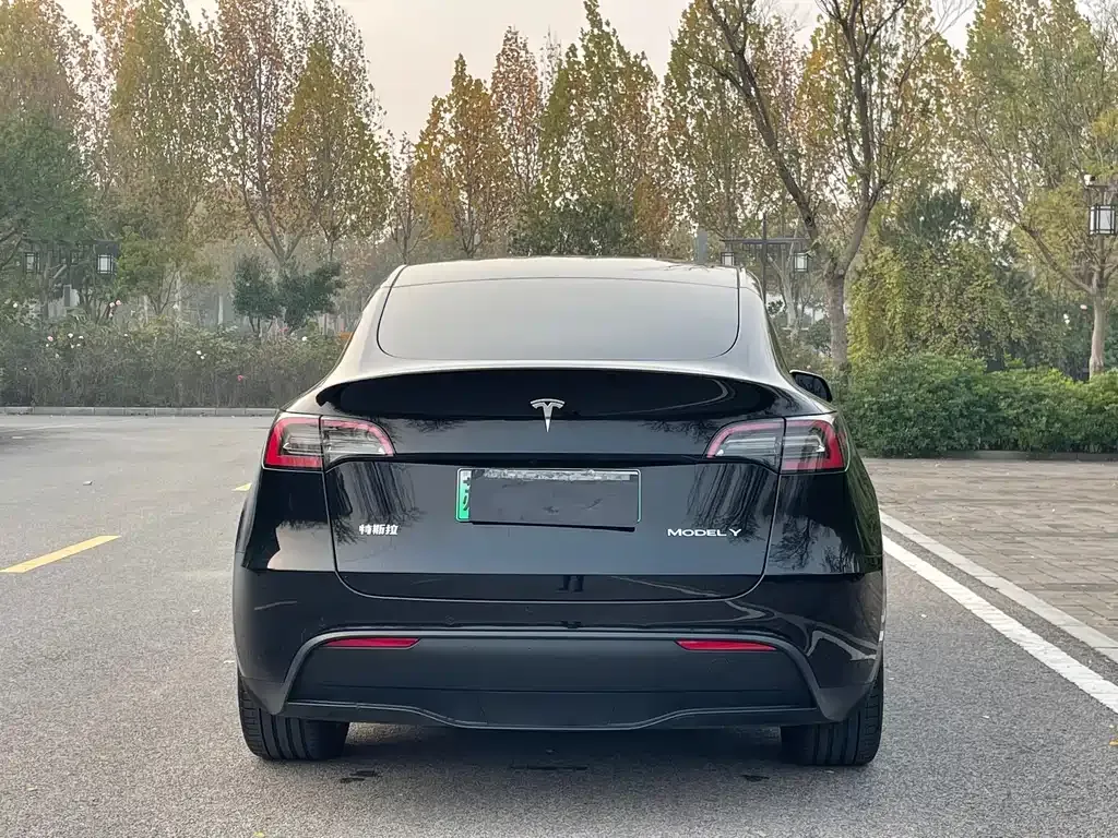 Tesla Model Y 2023 из CN, фото 5