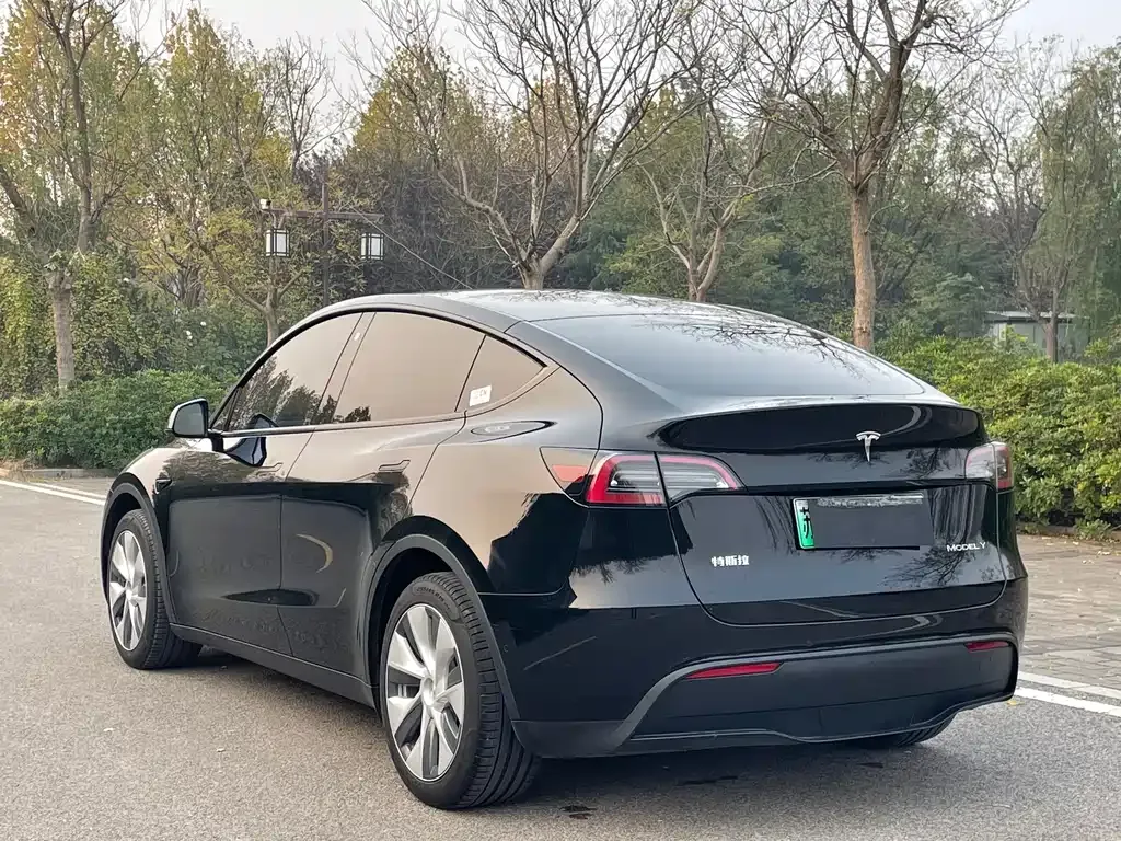 Tesla Model Y 2023 из CN, фото 6
