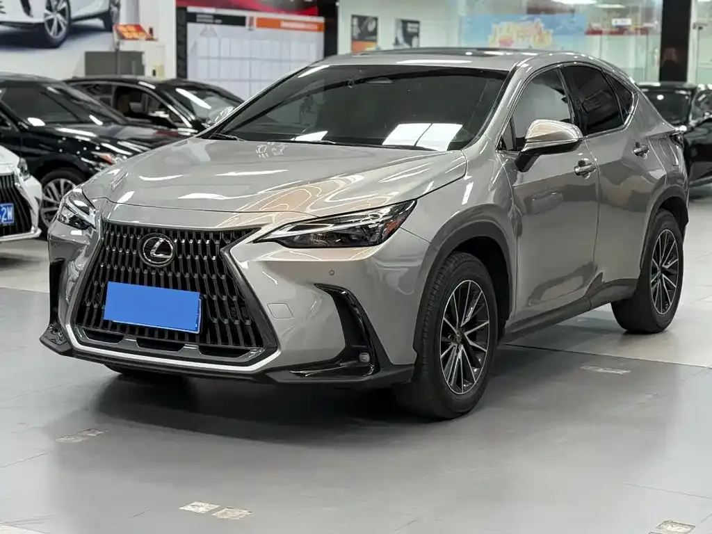 Lexus NX 2024 из CN, фото 1