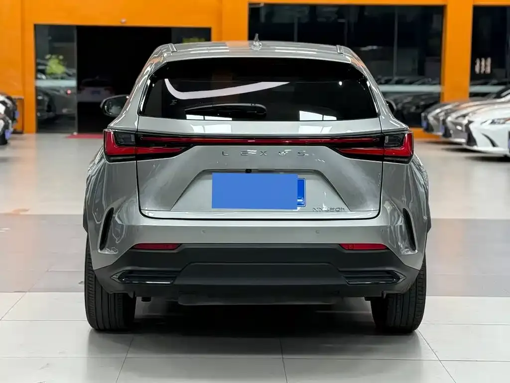 Lexus NX 2024 из CN, фото 10
