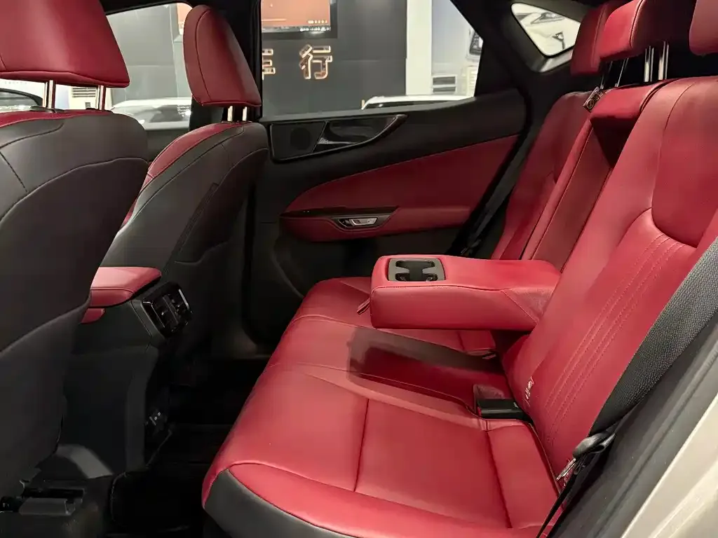 Lexus NX 2024 из CN, фото 8