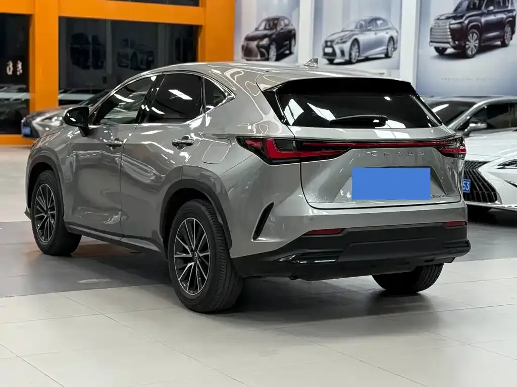 Lexus NX 2024 из CN, фото 9