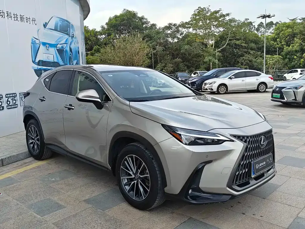 Lexus NX — фото 10