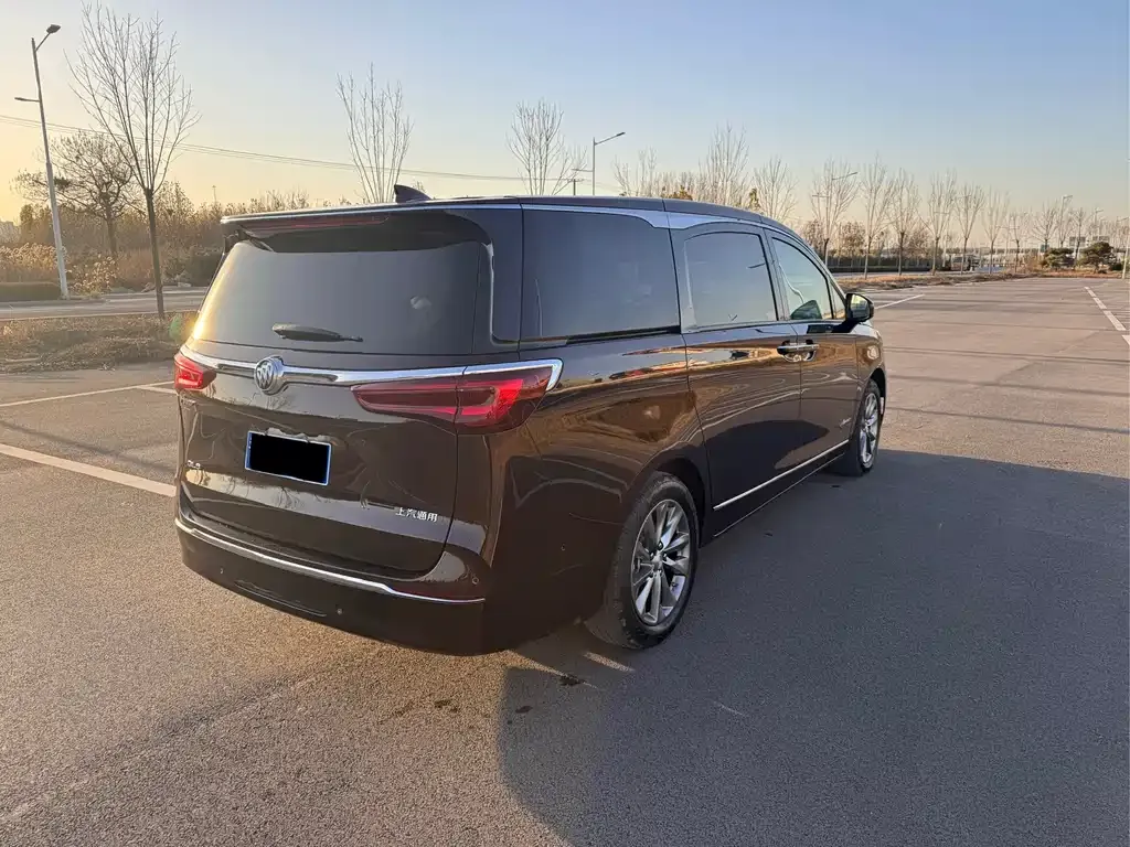 Buick GL8 2022 из CN, фото 6