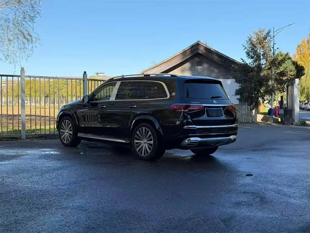 Mercedes-Benz GLS — фото 4