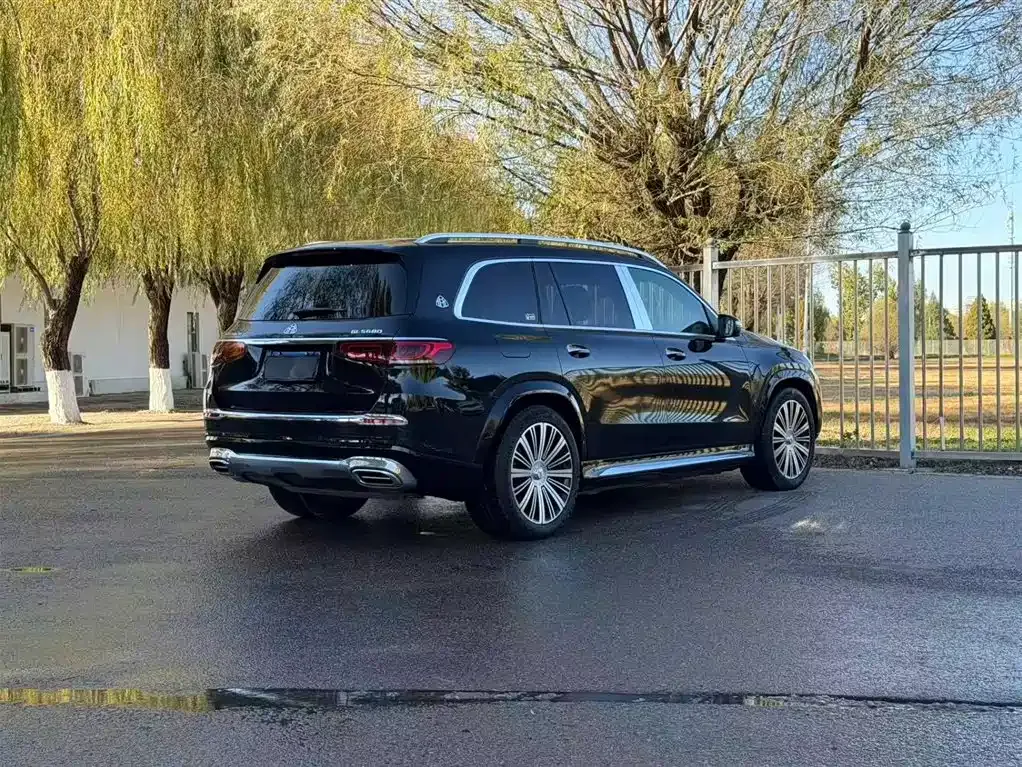 Mercedes-Benz GLS — фото 6