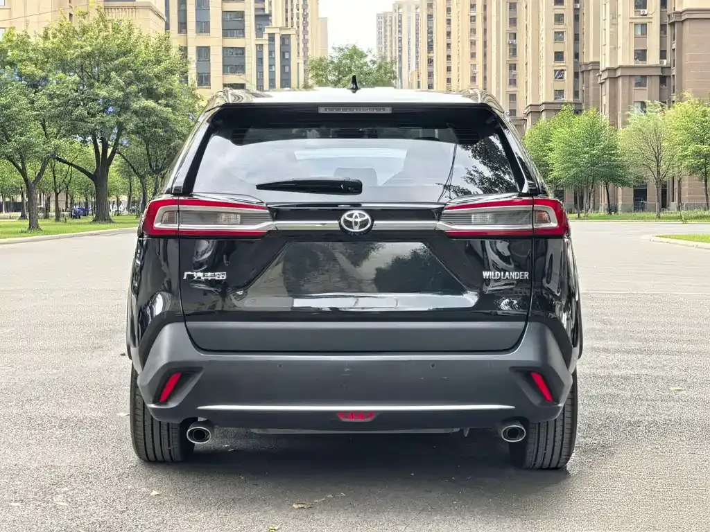 Toyota Wildlander 2021 из CN, фото 5
