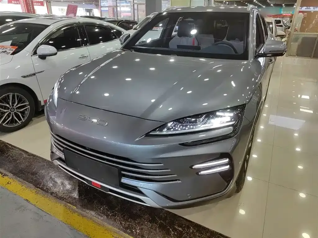 BYD PLUS New Energy — фото 1