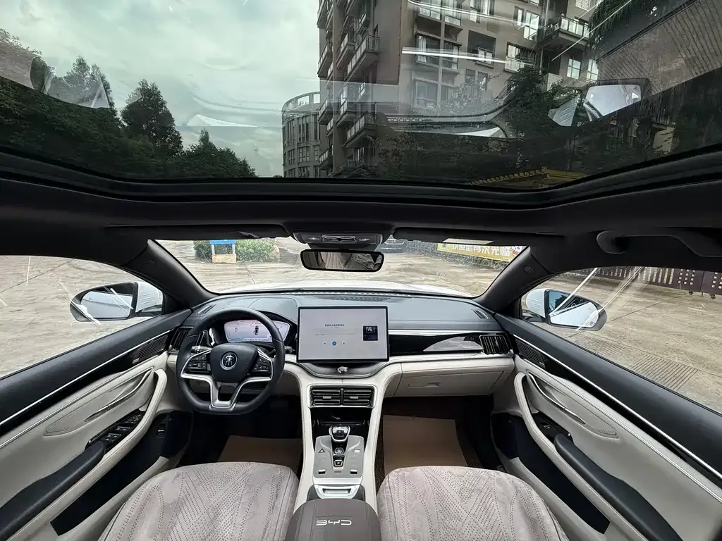 BYD PLUS New Energy — фото 10