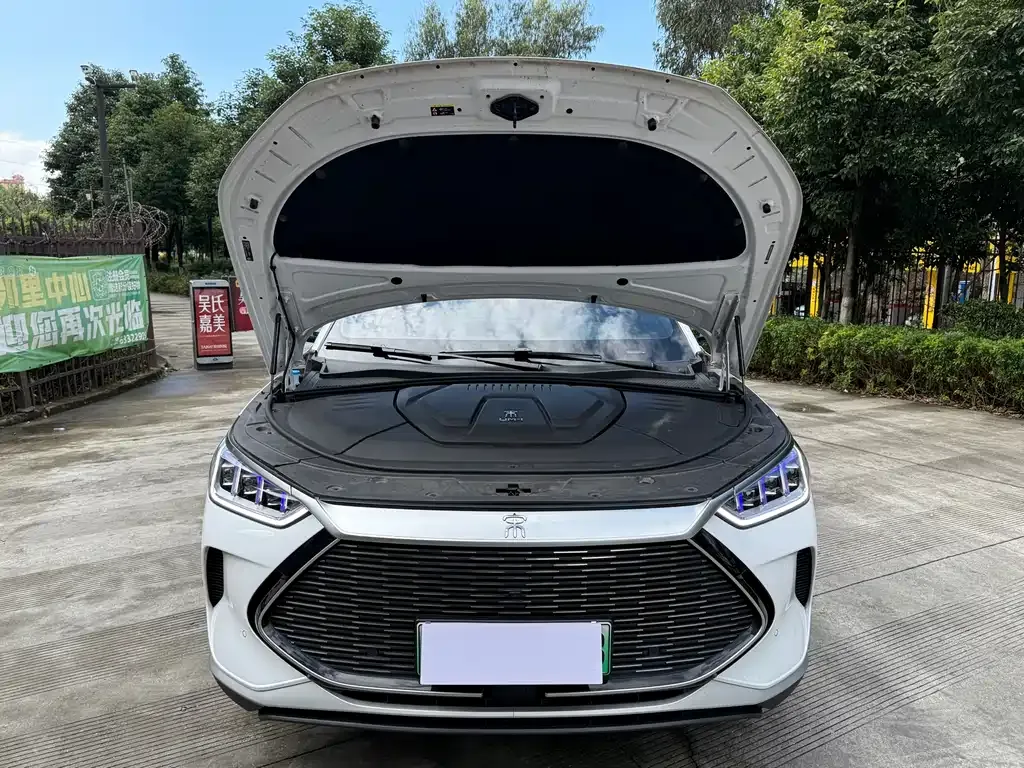 BYD PLUS New Energy — фото 6