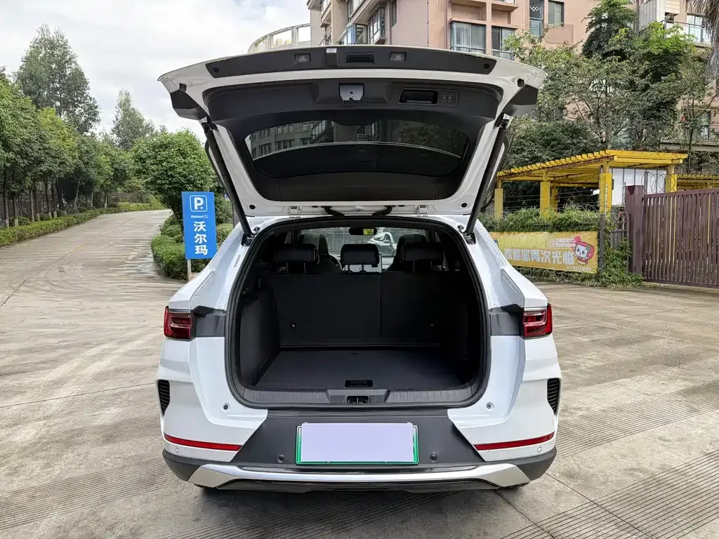 BYD PLUS New Energy — фото 8