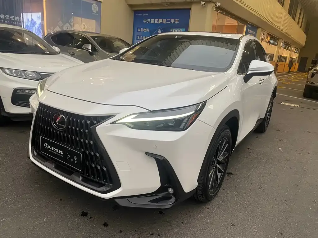 Lexus NX 2023 из CN, фото 1