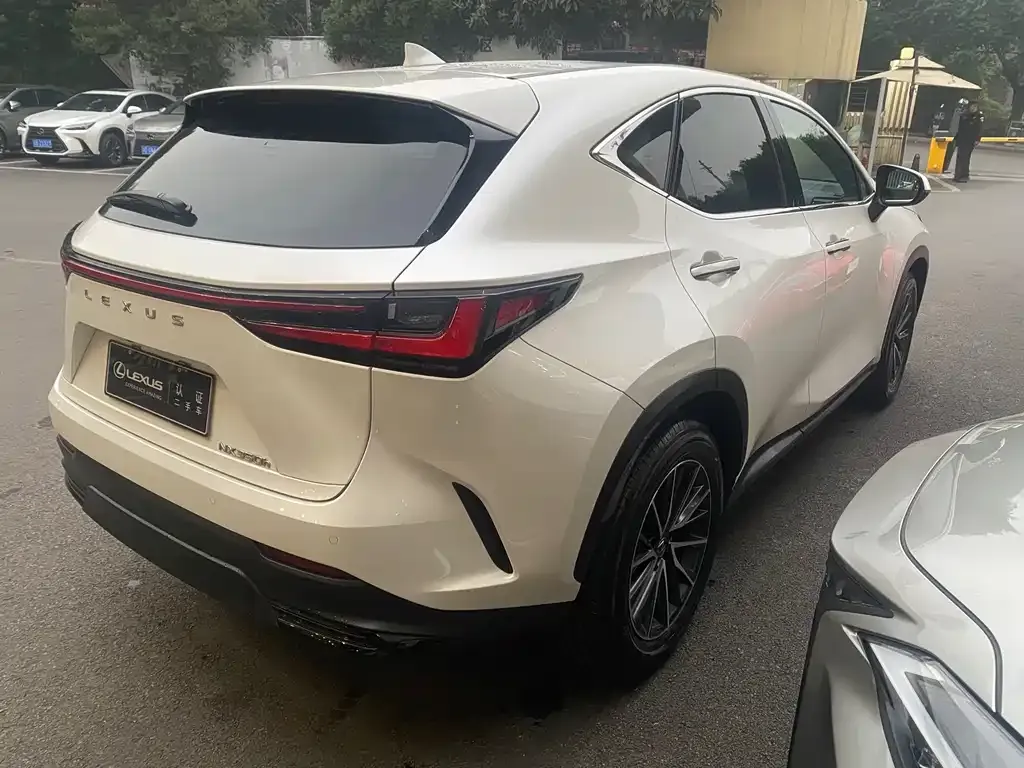 Lexus NX 2023 из CN, фото 10