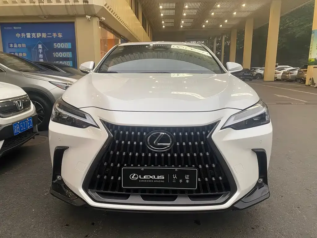 Lexus NX 2023 из CN, фото 2