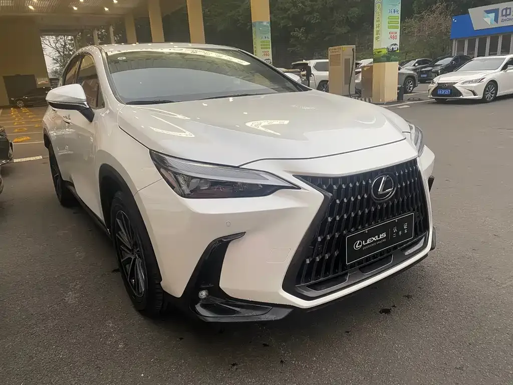 Lexus NX 2023 из CN, фото 3