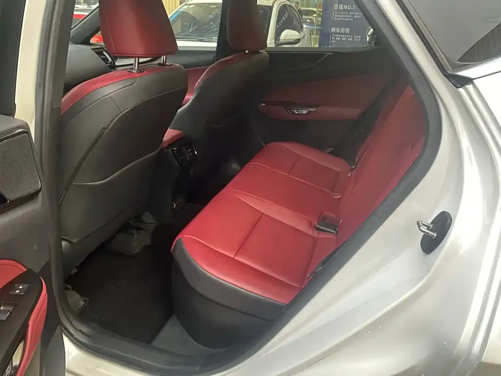 Lexus NX 2023 из CN, фото 5