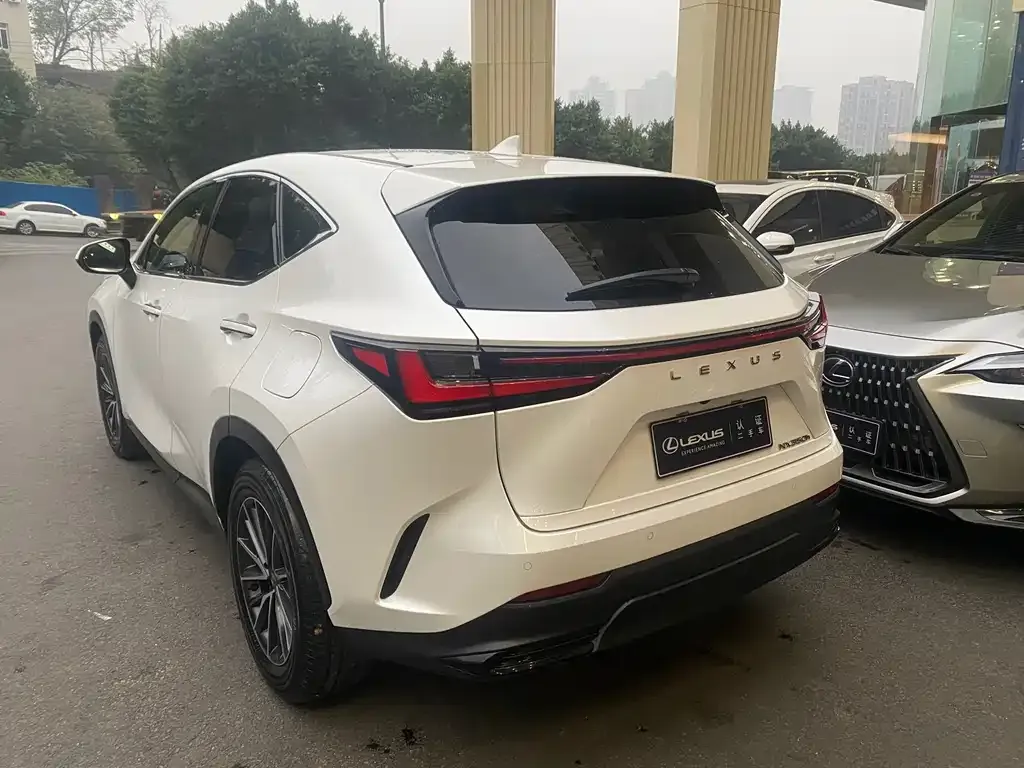 Lexus NX 2023 из CN, фото 6