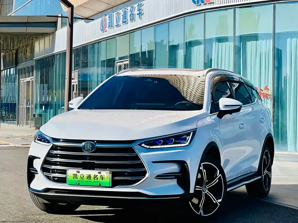 BYD Tang New Energy — фото 1