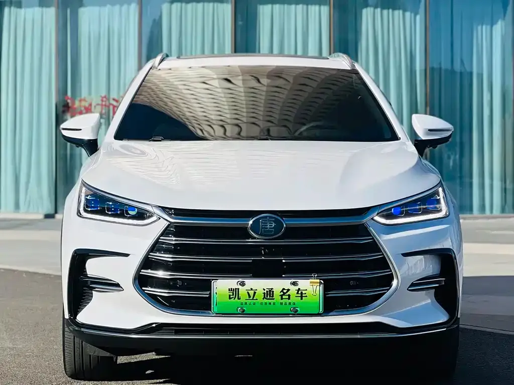 BYD Tang New Energy — фото 2