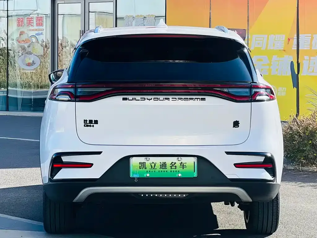 BYD Tang New Energy — фото 4