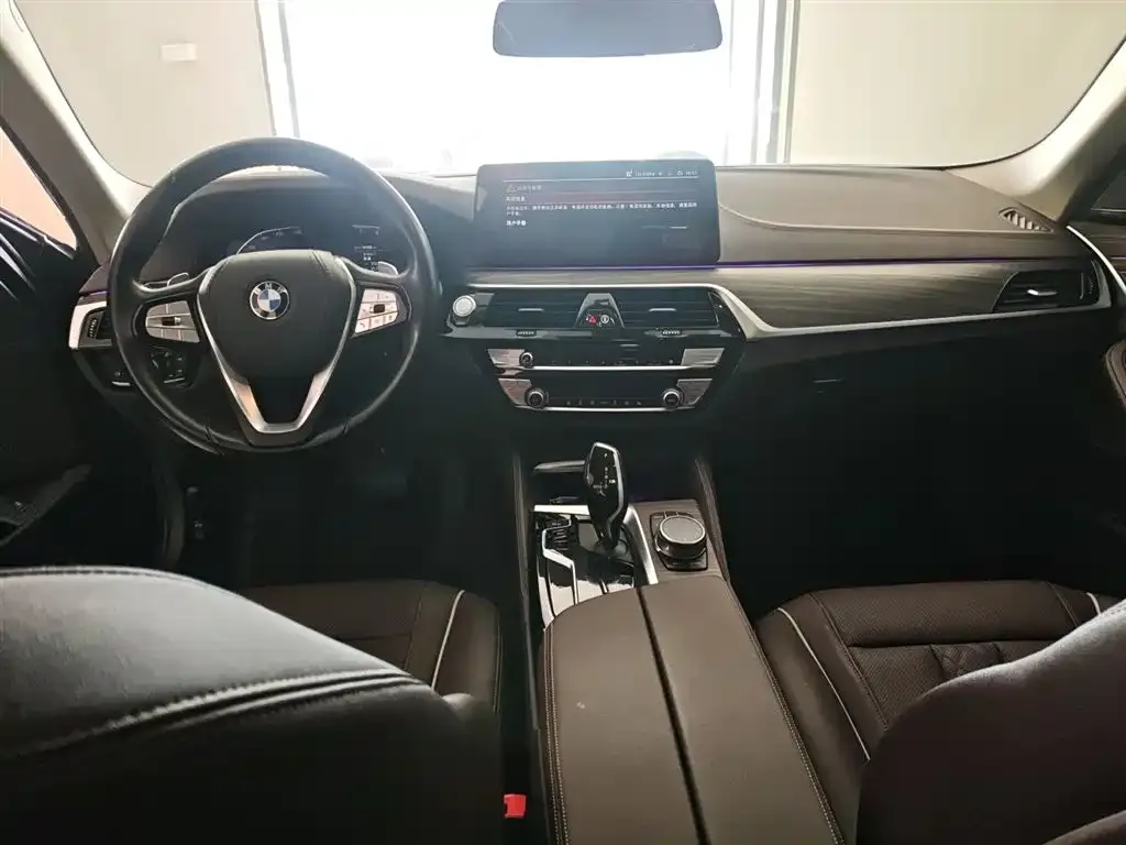 BMW 5 Series 2023 из CN, фото 10