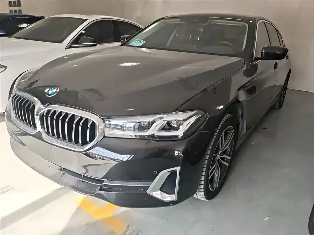 BMW 5 Series 2023 из CN, фото 2