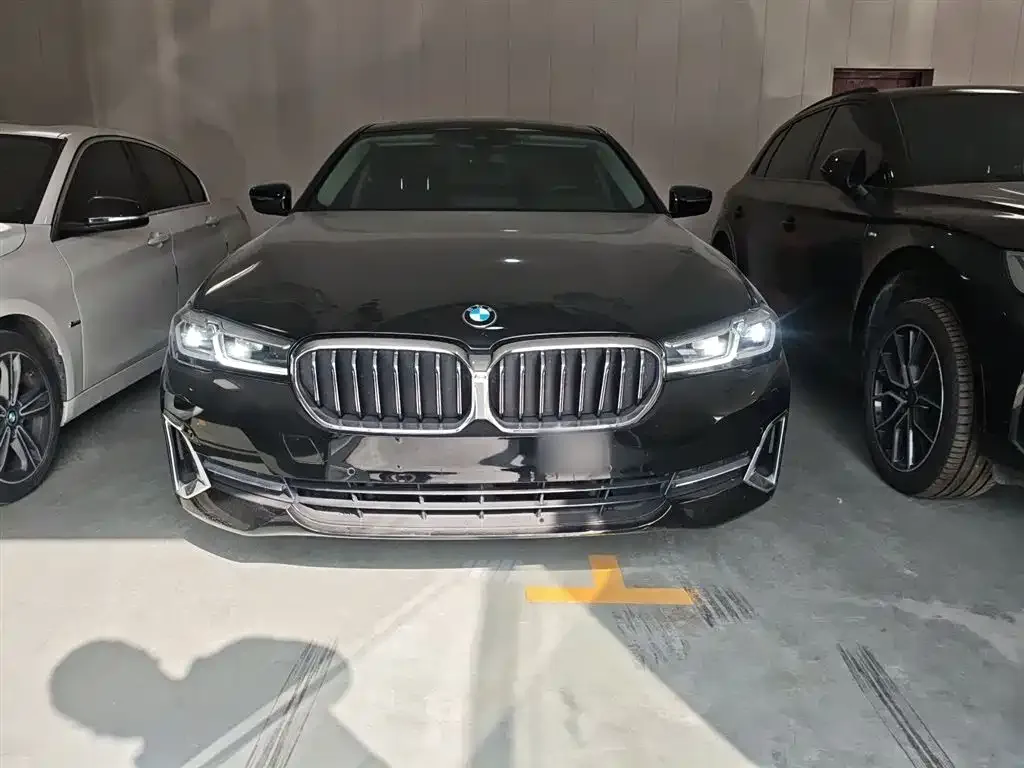 BMW 5 Series 2023 из CN, фото 3