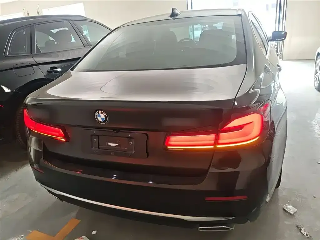 BMW 5 Series 2023 из CN, фото 6