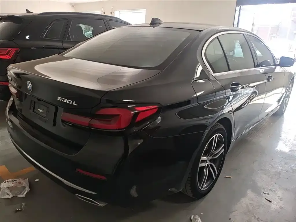 BMW 5 Series 2023 из CN, фото 7