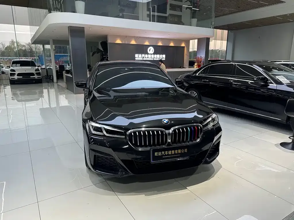 BMW 5 Series 2023 из CN, фото 2