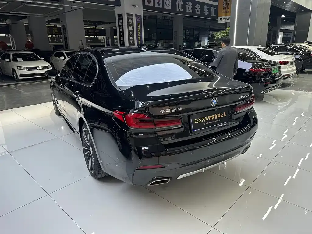 BMW 5 Series 2023 из CN, фото 9
