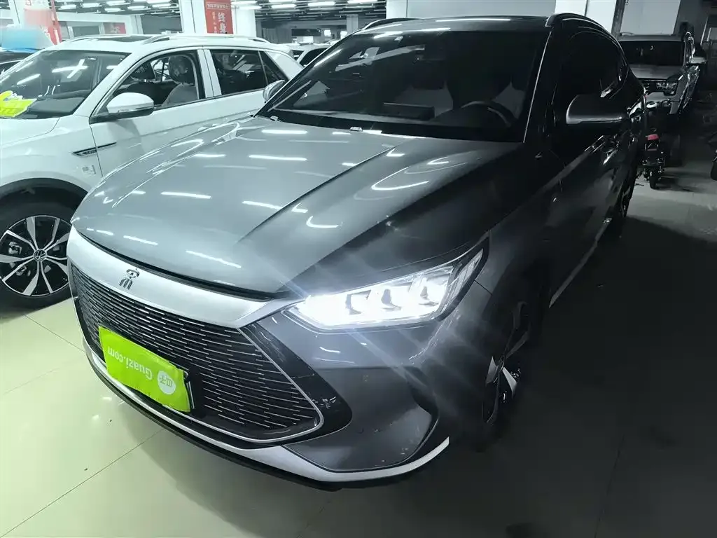 BYD PLUS New Energy — фото 1