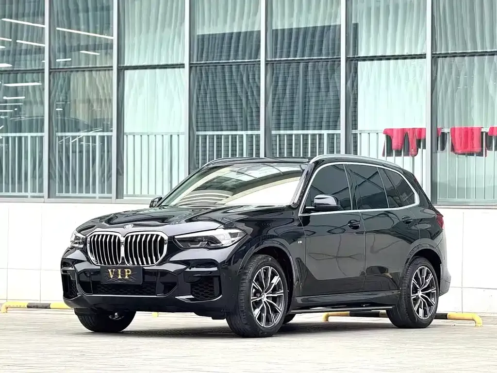 BMW X5 (Import) 2021 из CN, фото 1