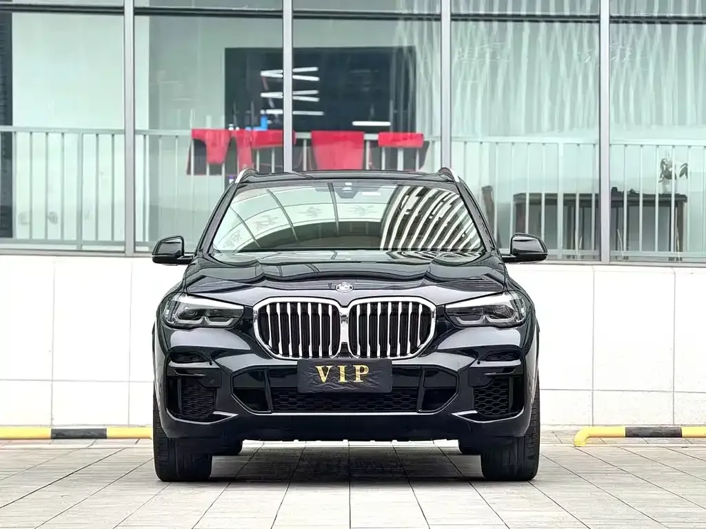 BMW X5 (Import) 2021 из CN, фото 2