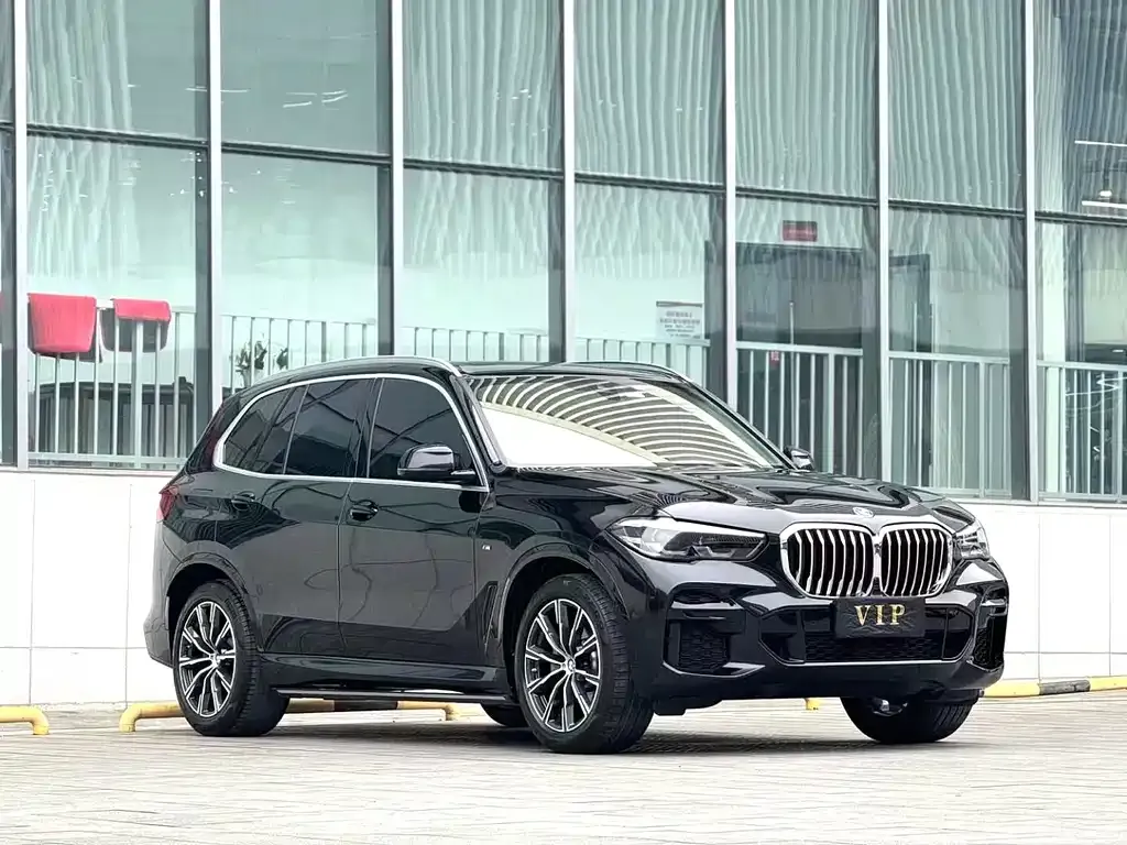 BMW X5 (Import) 2021 из CN, фото 3